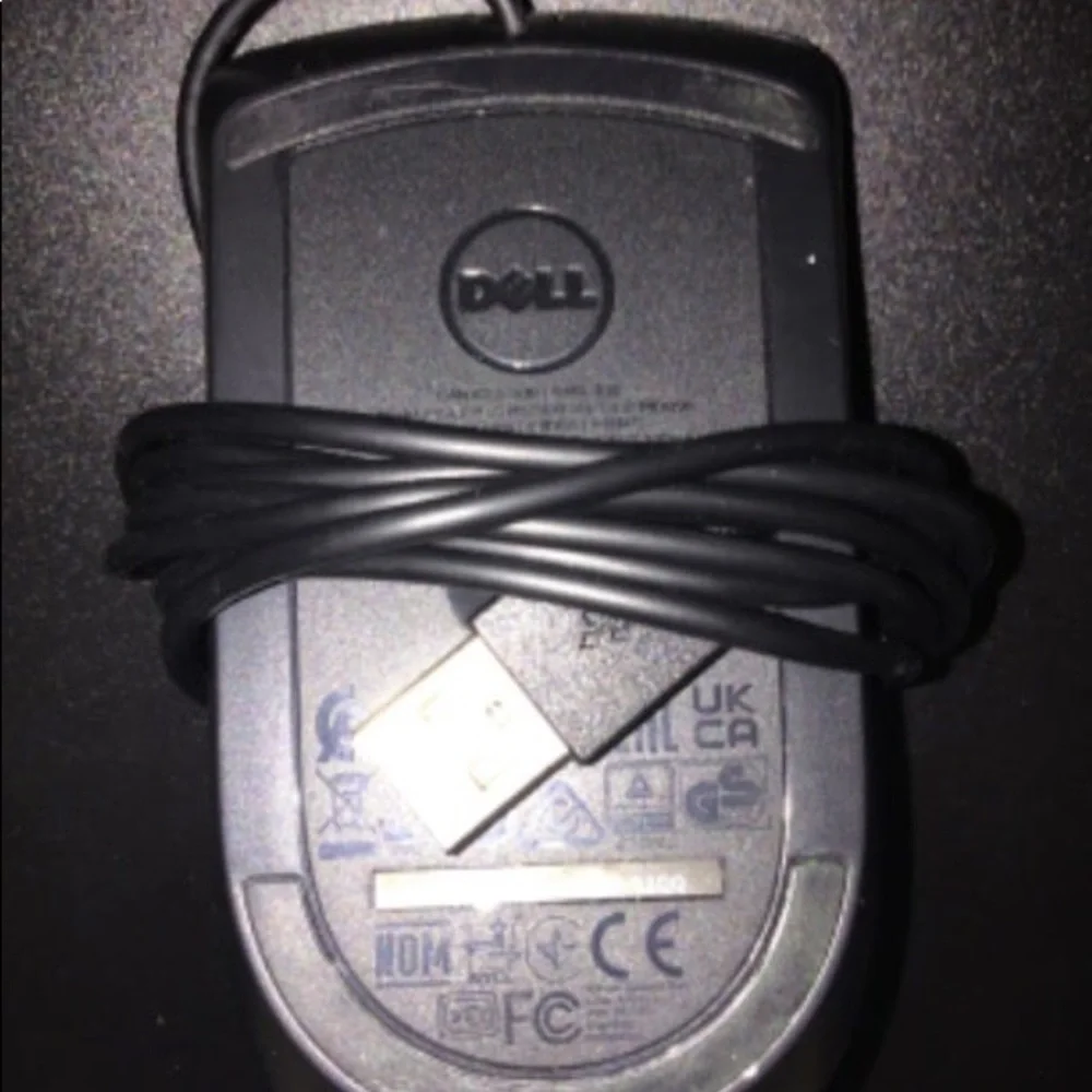 Dell Optical Mouse - MS116